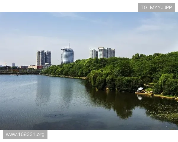 全面解析黄金战神卡的优势与使用攻略