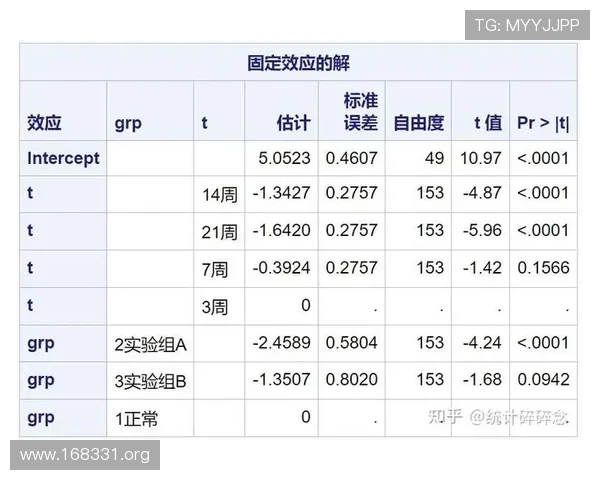 深入解析B体育app的十大核心功能与优势